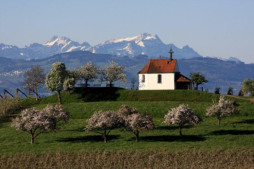 Zum Seglerhafen - Ferienappartement Kressbronn am Bodensee Bagian luar foto