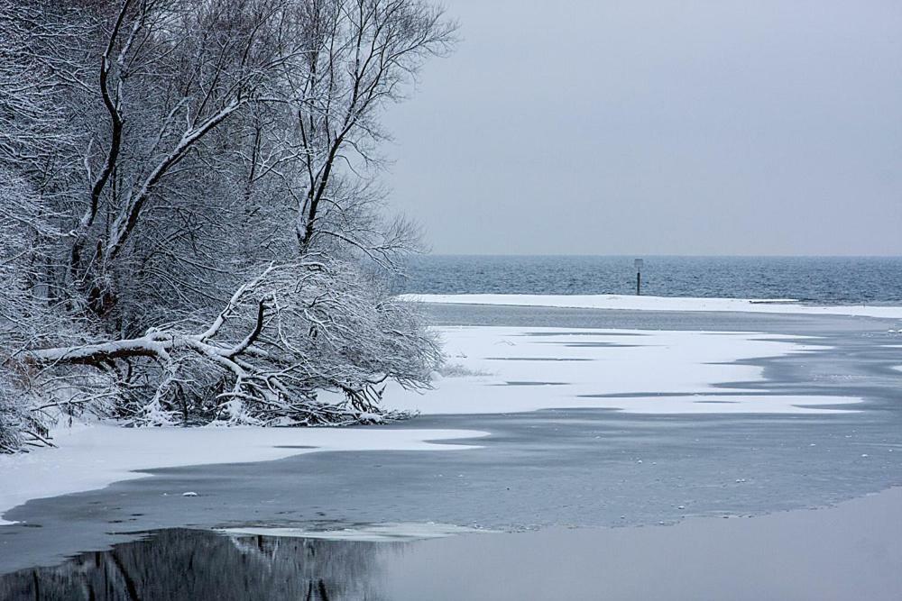 Zum Seglerhafen - Ferienappartement Kressbronn am Bodensee Bagian luar foto